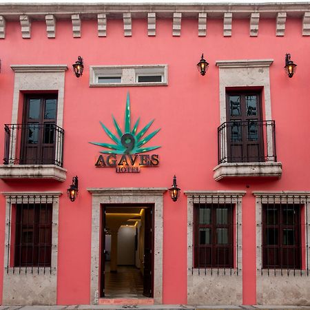 Nueve Agaves Hotel Tequila Exterior foto