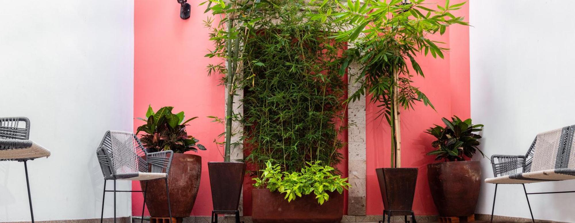 Nueve Agaves Hotel Tequila Exterior foto